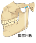 口を閉じた顎・文字あり