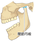 口を開いた骨・文字あり